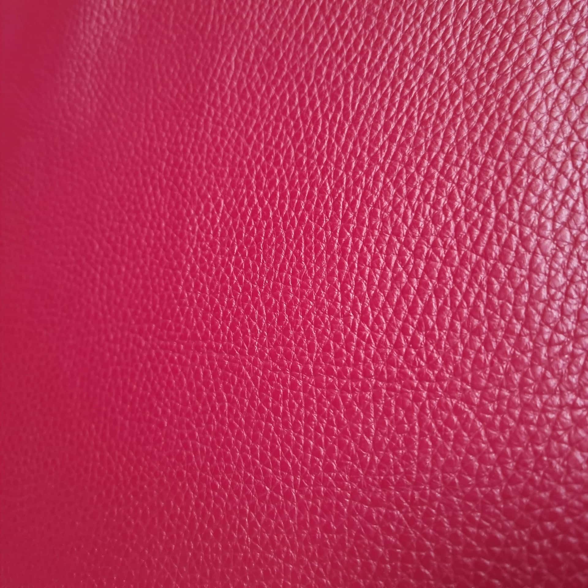 Dana Derisi Flotter Parlak Bordo