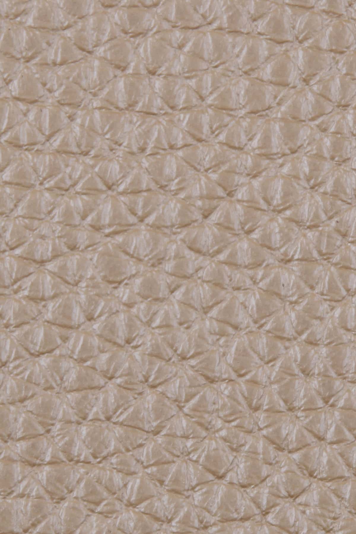 Dana Derisi Flotter Soluk İstiridye